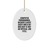 Funny Computer Programmer Gifts for Him - Oval Ornament - 'Classy Sassy And A Bit Fearlessy' Quote, Unique Christmas Unique Gifts from Men, Coworkers, Friends, Family - Image 1